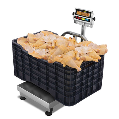 Báscula Plataforma Rhino BAPAG-200+I-PAG, 200 kg, en acero inoxidable.