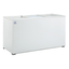 Criotec CCH-15 Congelador Paletero Supermercado Tienda Abarrotes Tienda de Conveniencia Almacenar Congelar Paletas Helado Nieve Paleteria.  KitchenMax.Store. Envíos seguros a todo México. Cotiza hoy mismo.