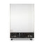 Torrey CVSA-47UI Congelador Reach-In Vertical 2 Puertas Solidas 6 Parrillas Acero Inoxidable - Congeladores Verticales - Torrey - KitchenMax Store